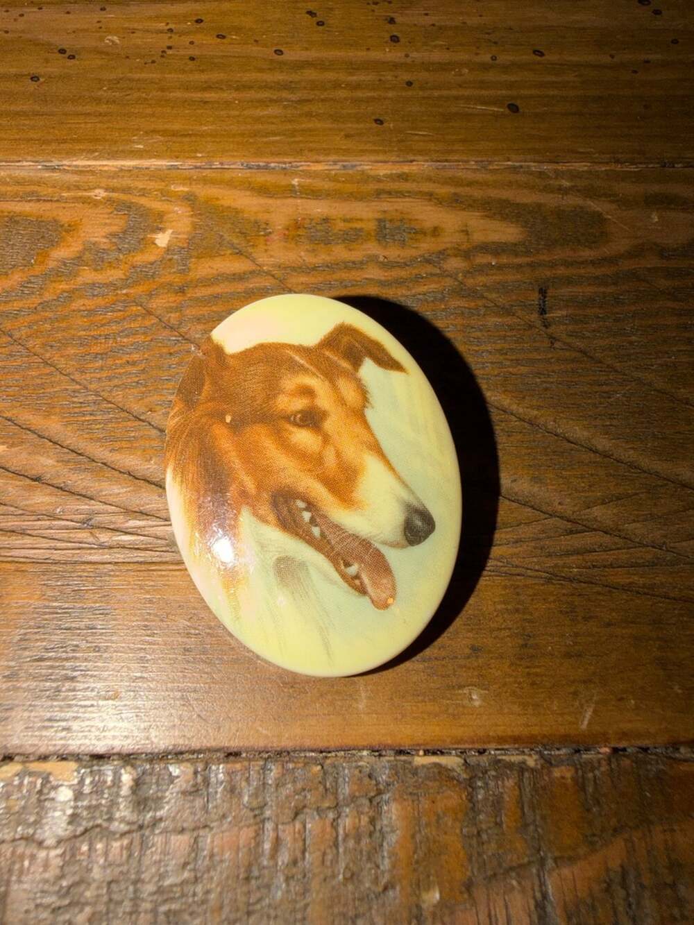 Vintage Collie Dog Oval Brooch Pin